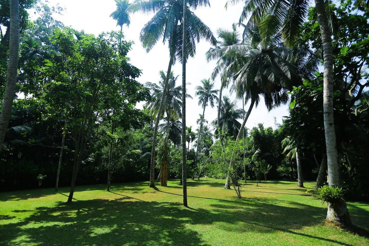 Old Parkland Hostel Galle Exterior photo